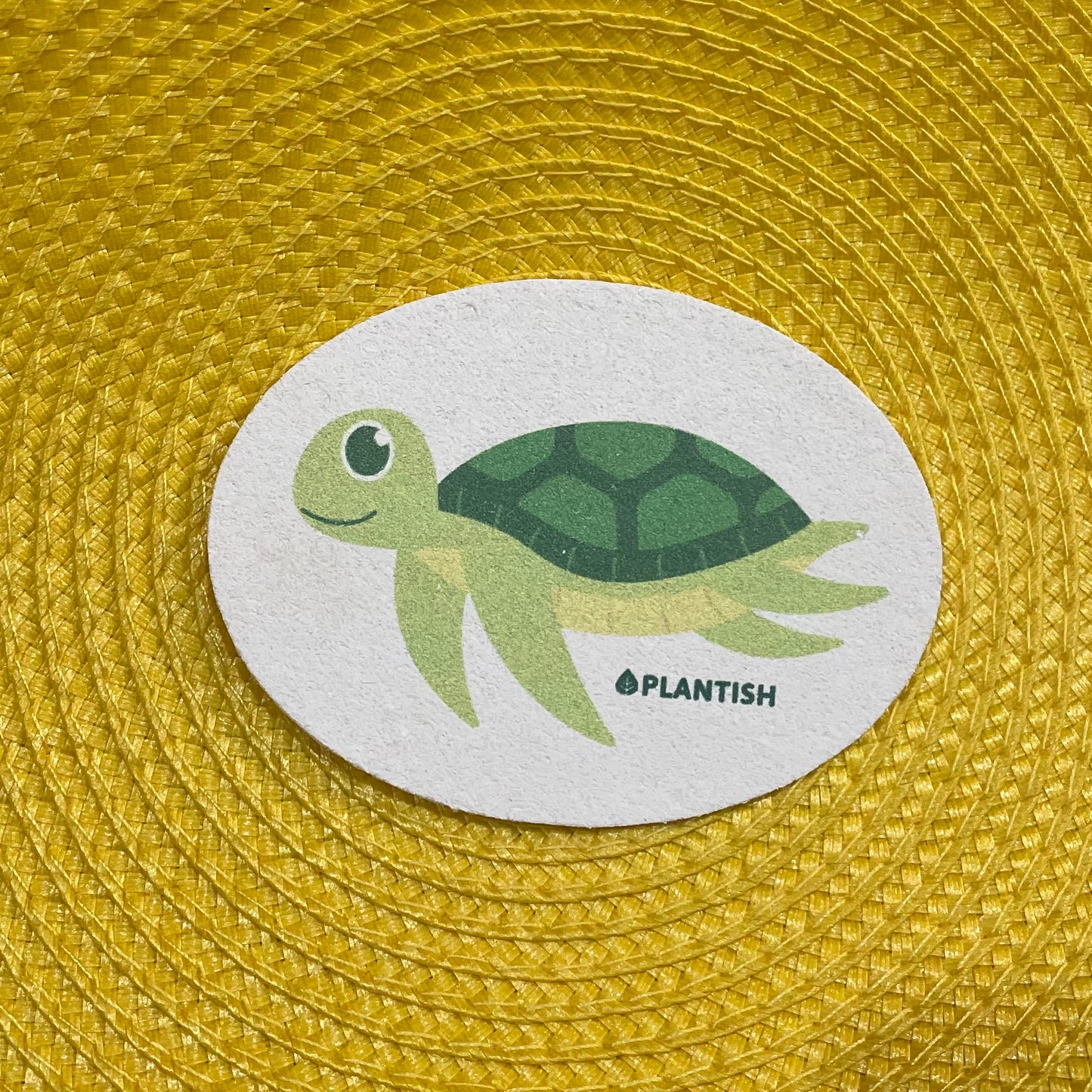 Pop Up Compostable Sponge