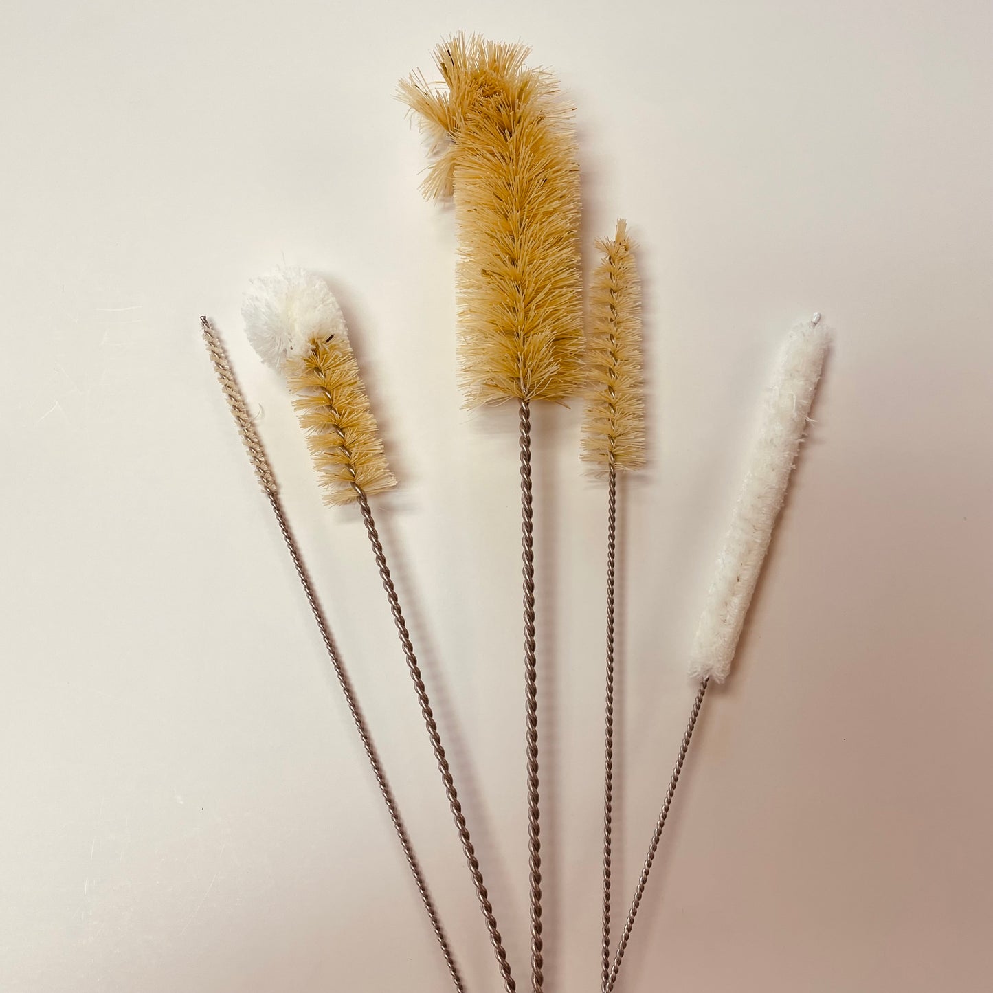 Bottle Brushes Set of 5