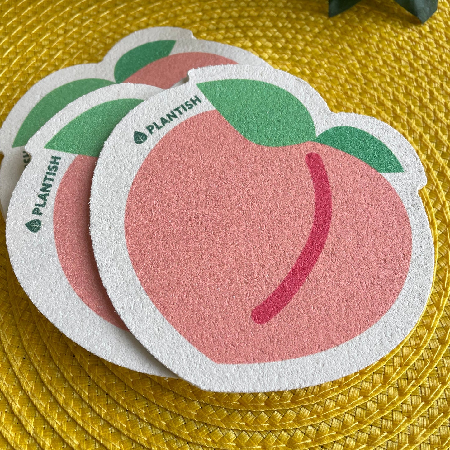 Pop Up Compostable Sponge
