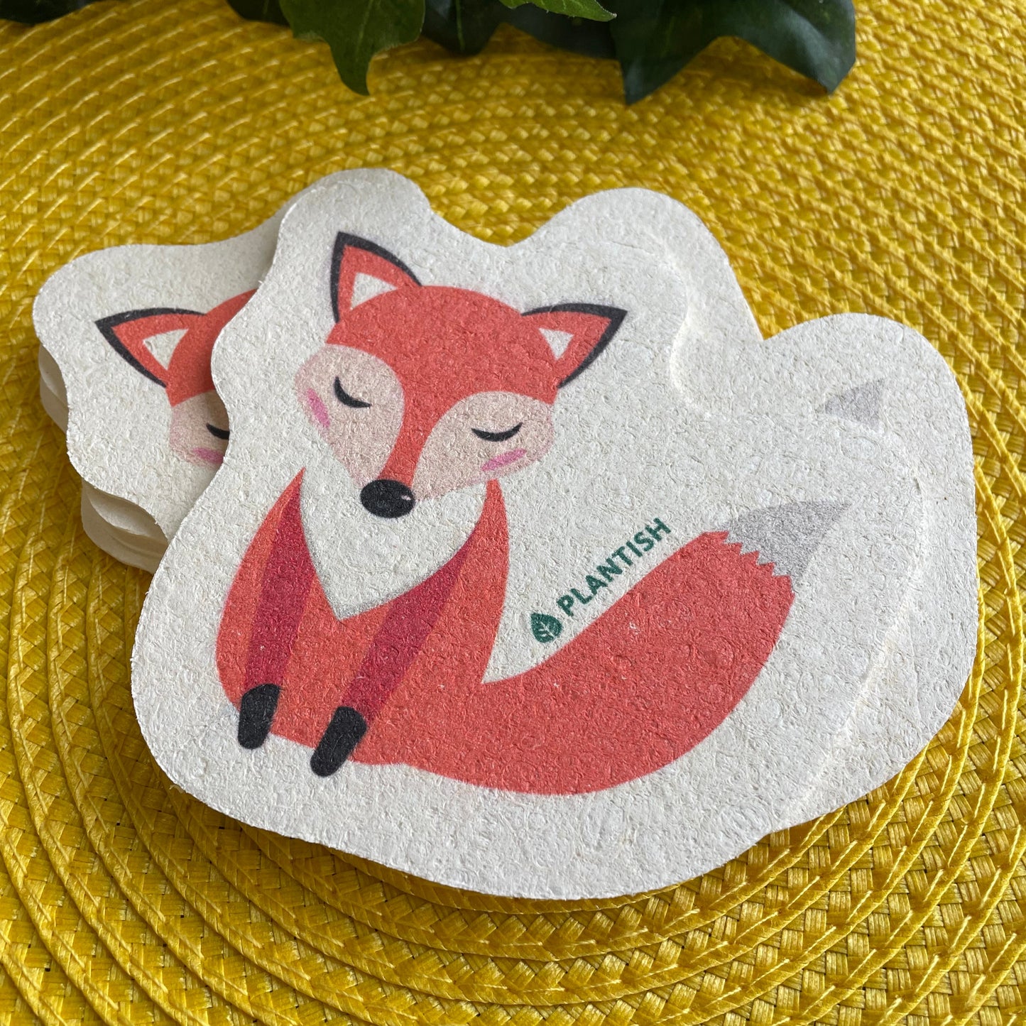 Pop Up Compostable Sponge