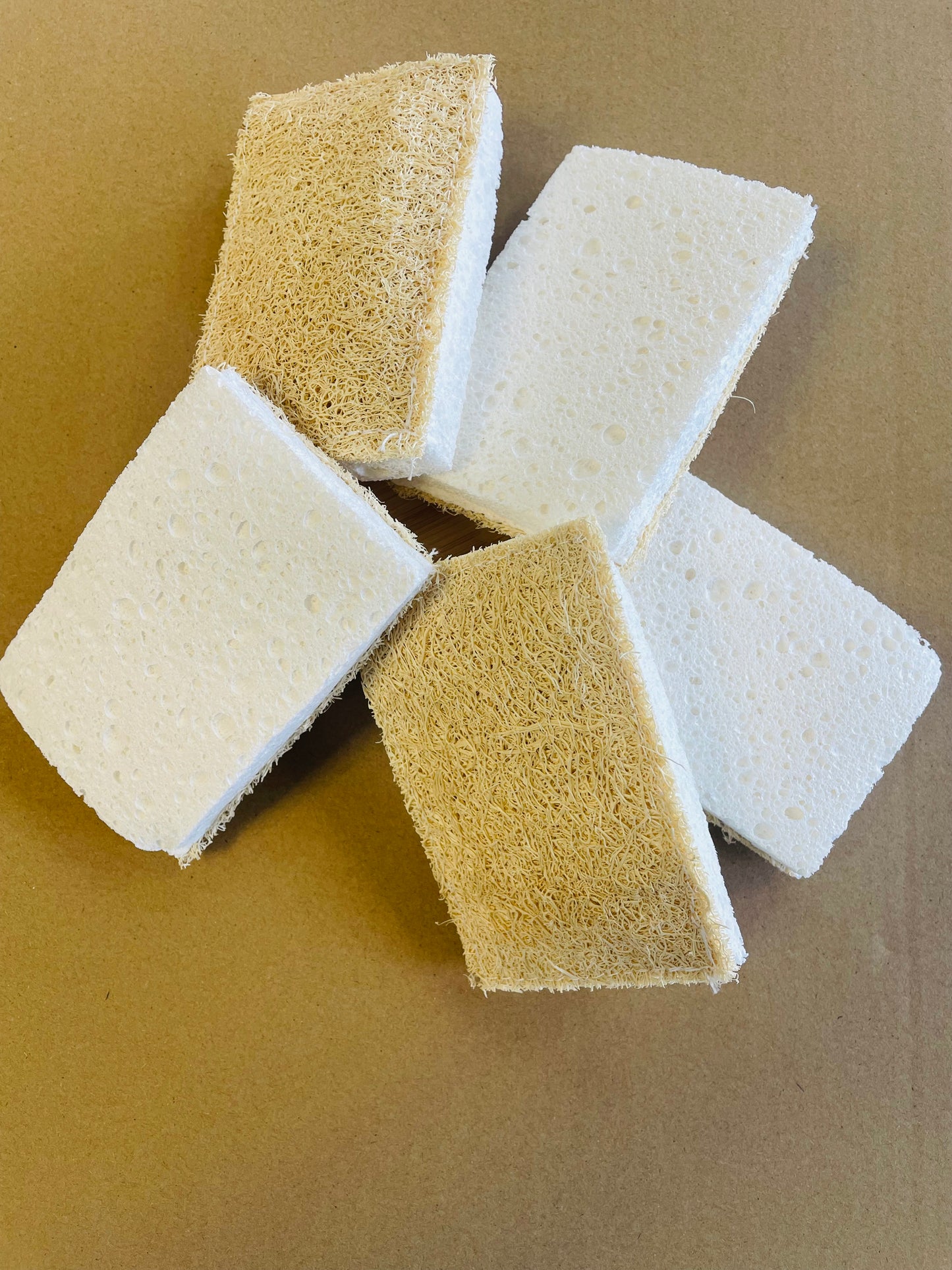 Eco Sponge - Compostable