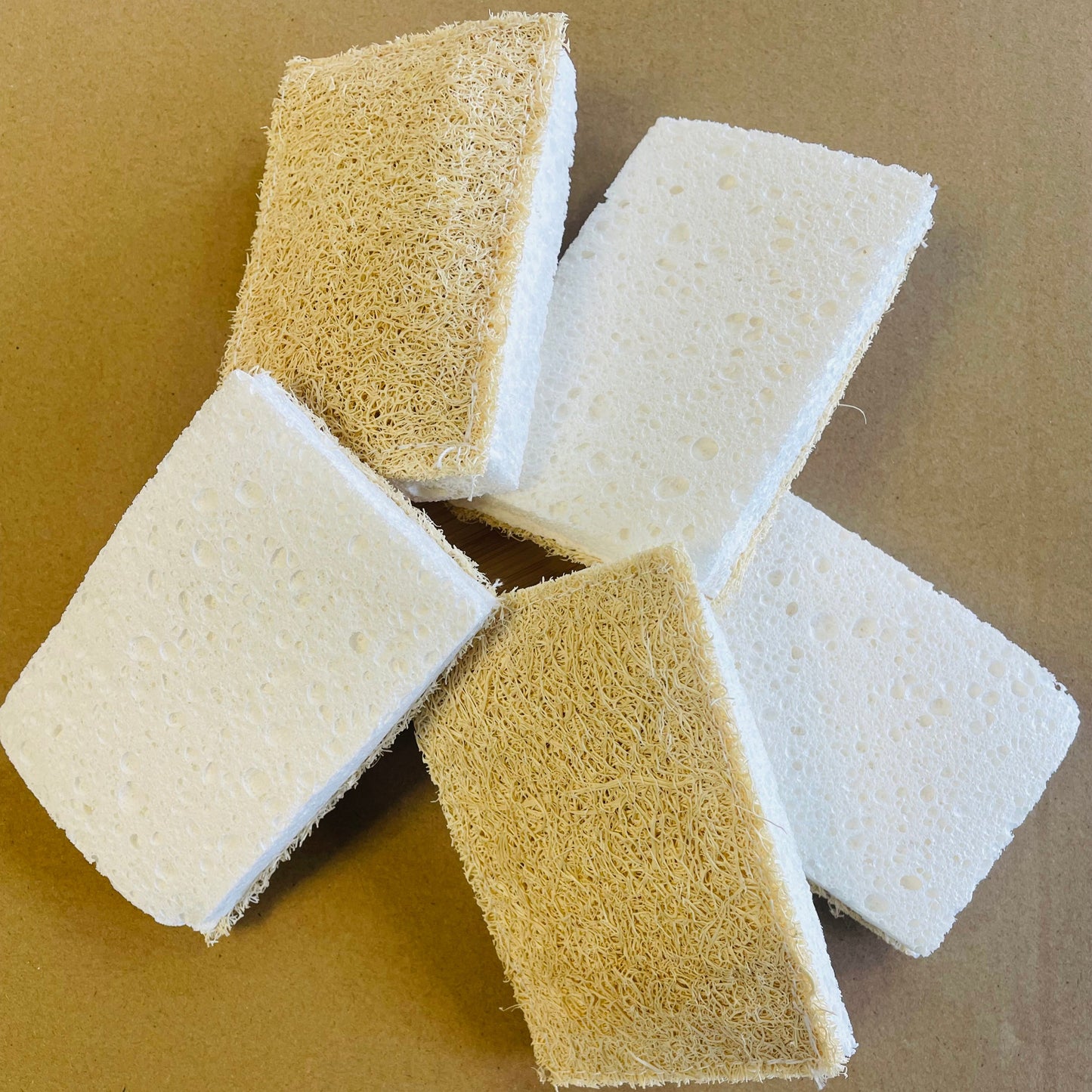 Eco Sponge - Compostable
