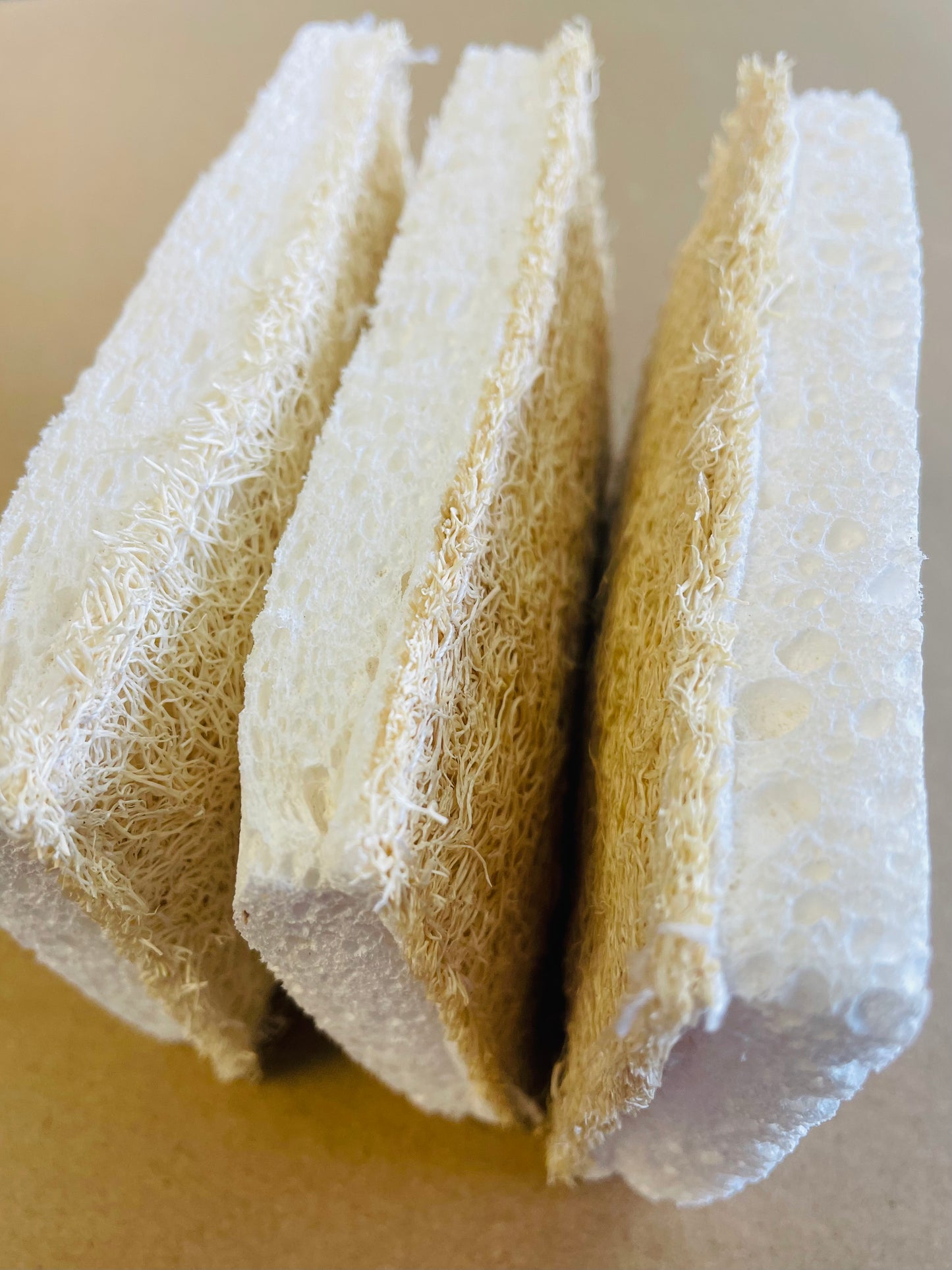 Eco Sponge - Compostable