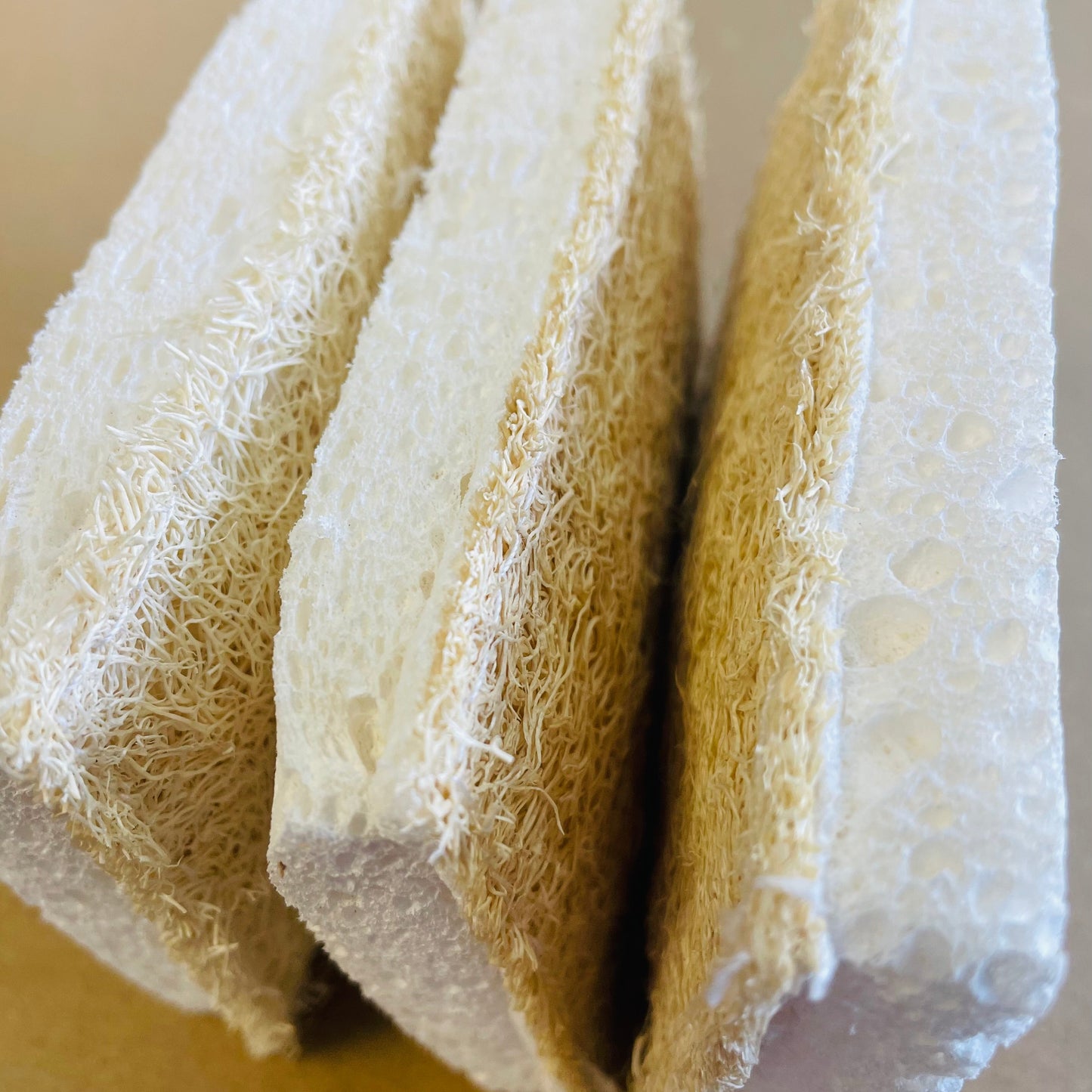 Eco Sponge - Compostable