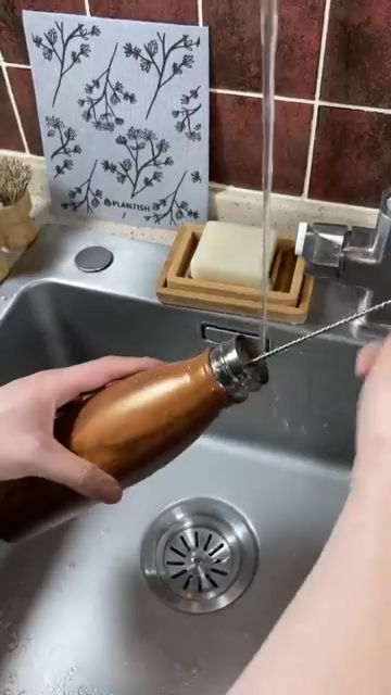 Bottle Brushes Set of 5