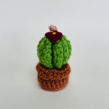 Cactus Bag Clips Bella Terra_