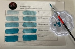 Watercolor Shelfie Painting Workshop