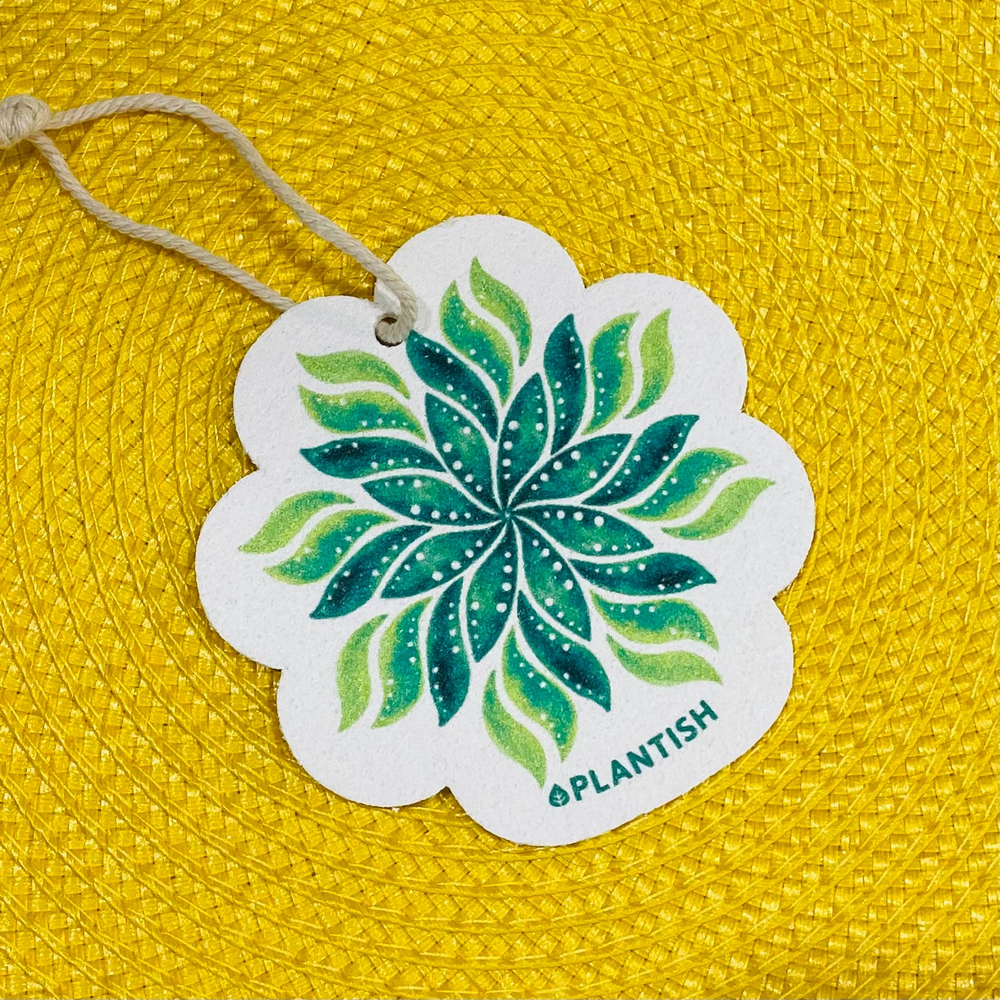 Pop Up Compostable Sponge