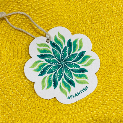 Pop Up Compostable Sponge
