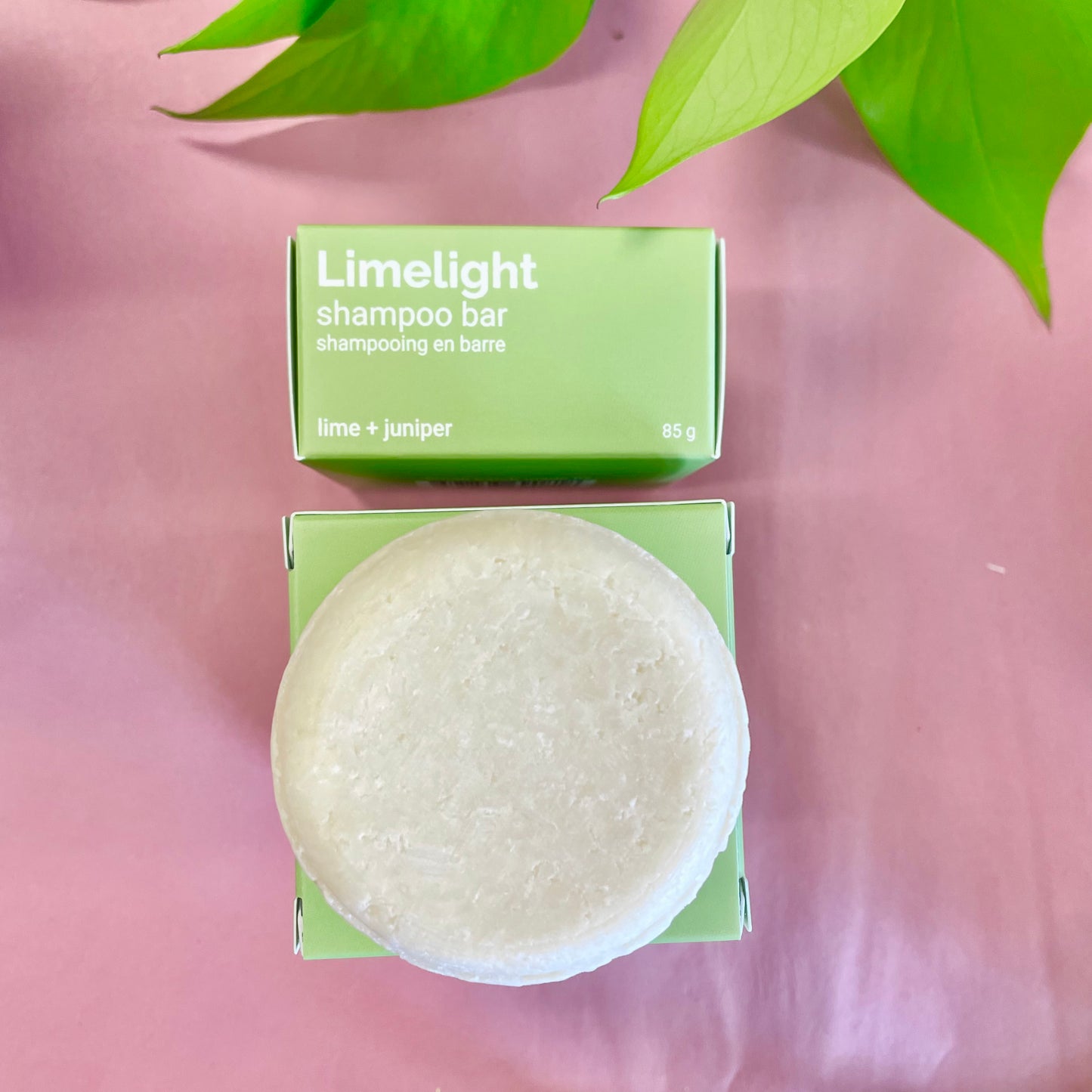 Limelight Shampoo Bar