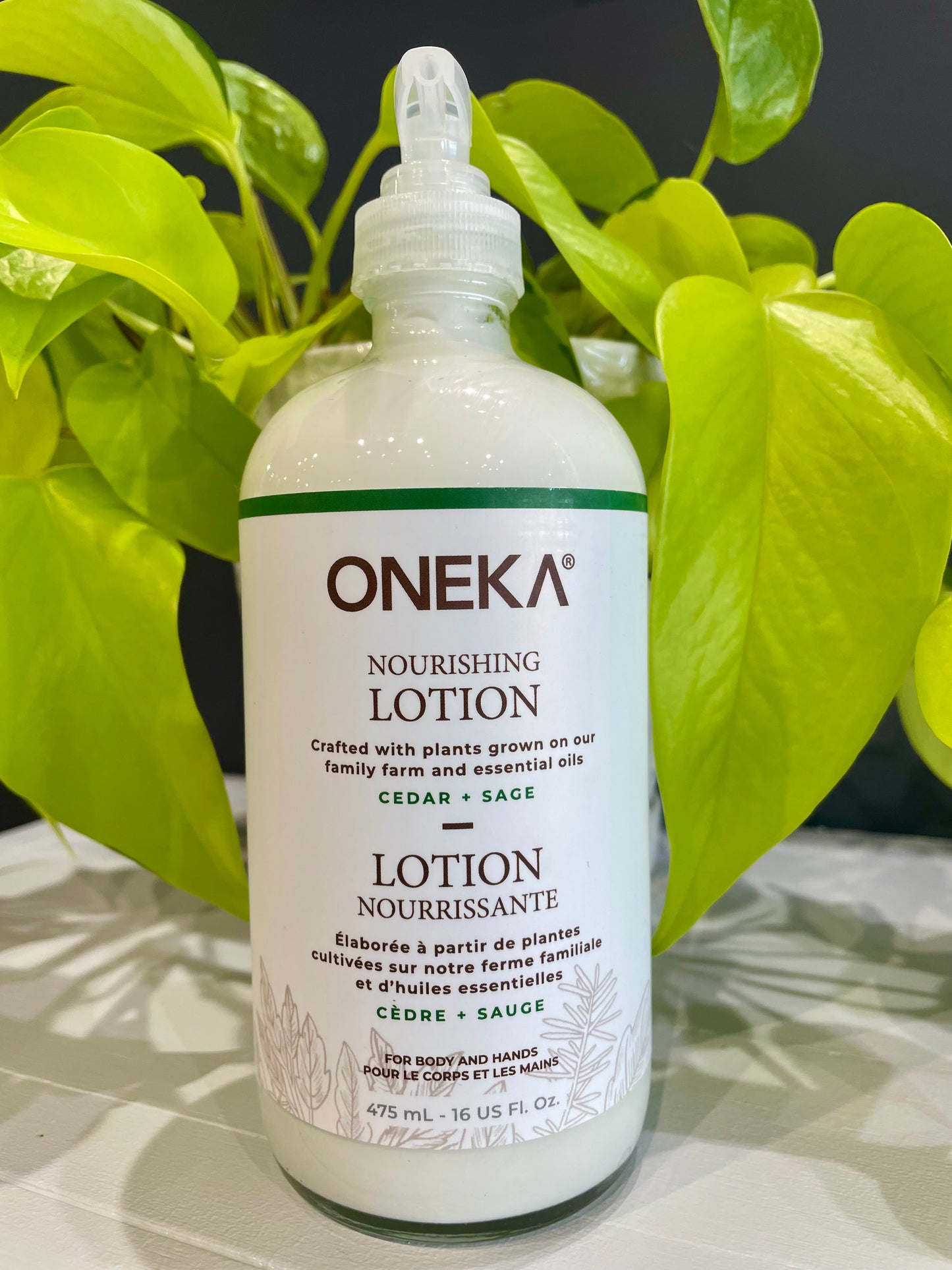 Oneka Body Lotion