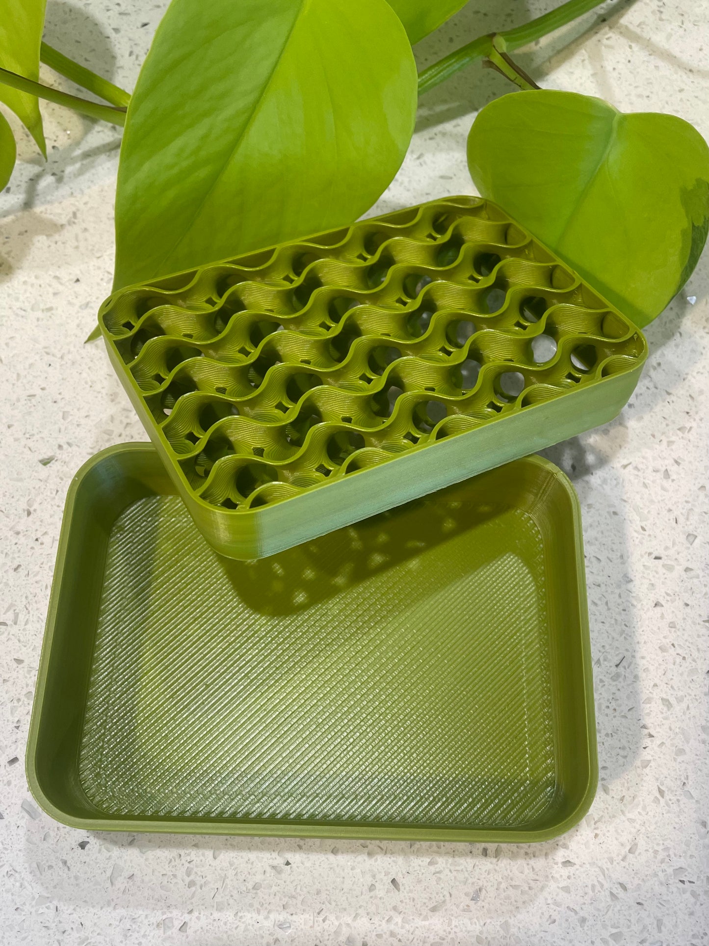 Rectangle Soap Dish