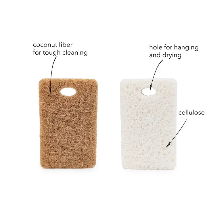 Coconut Shell + Cellulose Scrubber Sponge