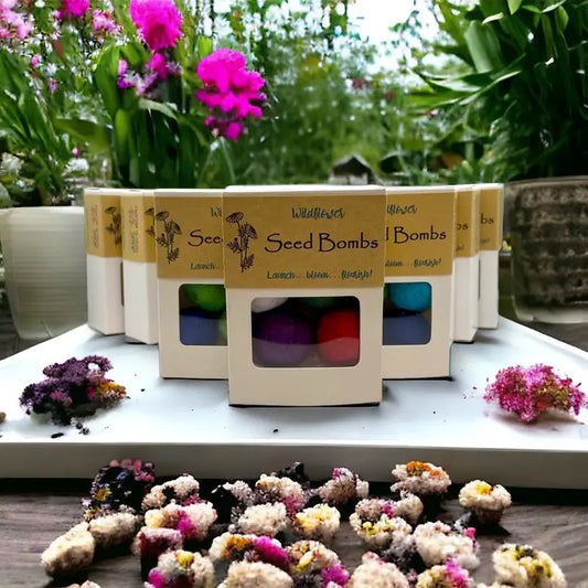 Seed Bombs - 6 pack
