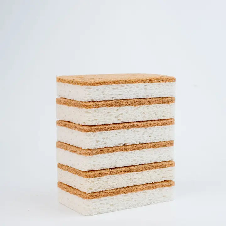 Coconut Shell + Cellulose Scrubber Sponge
