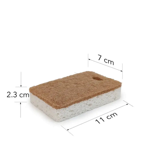 Coconut Shell + Cellulose Scrubber Sponge